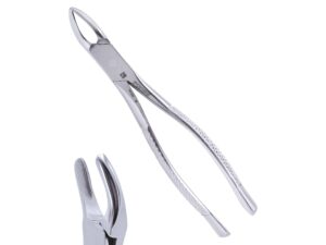 Dental Extracting Forcep #62 Upper/Lower Incisor Bicuspid & Primary – Pomee USA 705-620