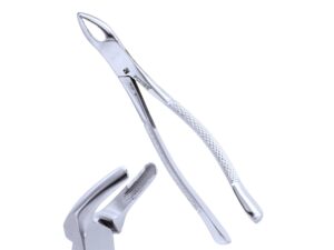 Dental Extracting Forceps #151 Serrated Universal for Lower Teeth – Pomee USA 706-157