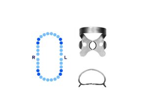 Premolars Rubber Dam Clamp #2A Flat Jaws – Pomee USA 712-110