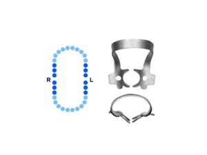 General Molars Rubber Dam Clamp #8AD Deeply Festooned Extended Bow – Pomee USA 712-117