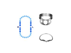 General Molars Rubber Dam Clamp #W8A Slightly Festooned Jaws – Pomee USA 712-118