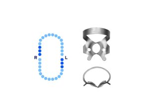 General Molars Rubber Dam Clamp #14 Deeply Festooned Jaws – Pomee USA 712-121