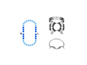 General Molars Rubber Dam Clamp #14A Deeply Festooned Jaws – Pomee USA 712-122