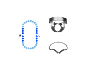 General Molars Rubber Dam Clamp #W14A Deeply Festooned Jaws – Pomee USA 712-123
