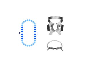 General Molars Rubber Dam Clamp #56 Slightly Festooned Jaws – Pomee USA 712-128