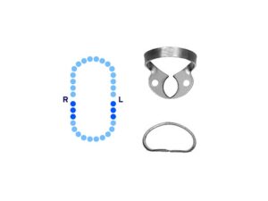 Lower Molars Rubber Dam Clamp #W3 Flat Narrow Jaws – Pomee USA 712-140