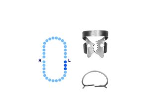 Lower Molars Rubber Dam Clamp #13A Serrated Offset Jaws – Pomee USA 712-145